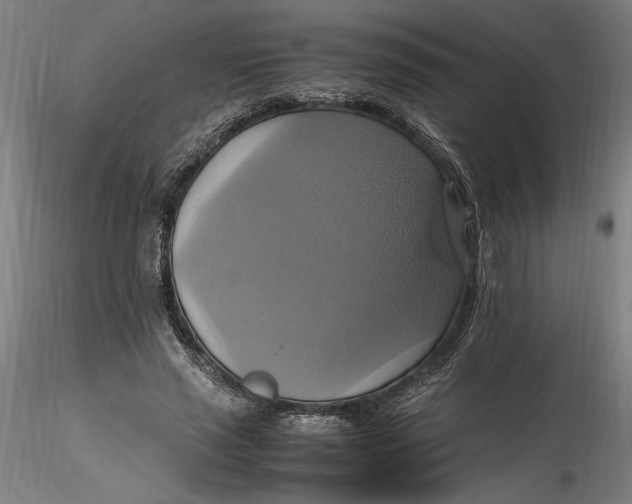 X0000115560637200911271457