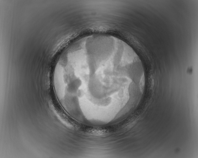 X0000115560638200911271457