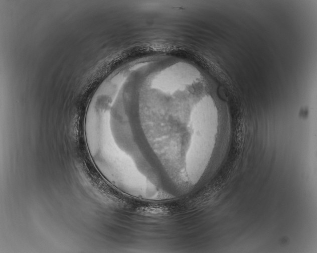 X0000115560639200911271457