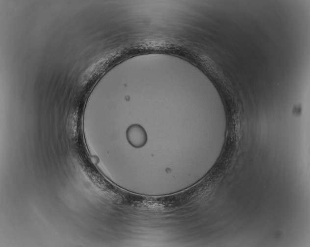 X0000115560640200911271457