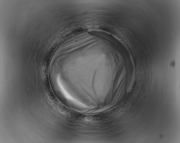 X0000115560641200911271458