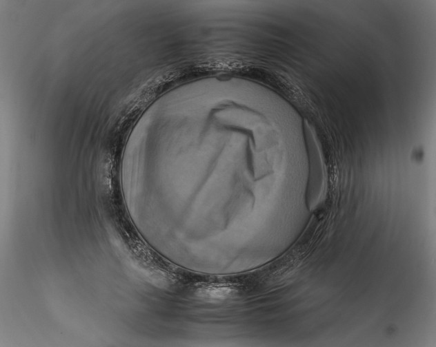 X0000115560643200911271458