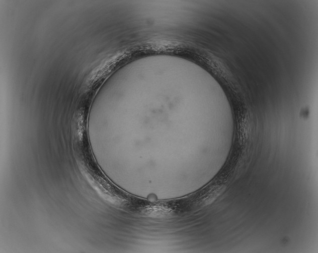 X0000115560644200911271458