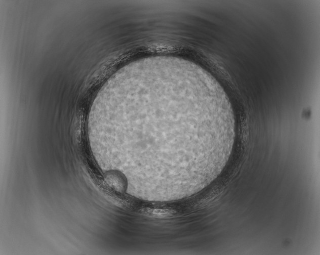 X0000115560645200911271458