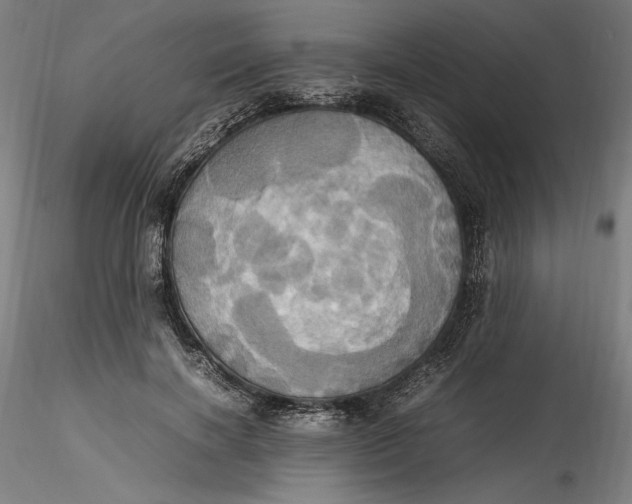 X0000115560646200911271458