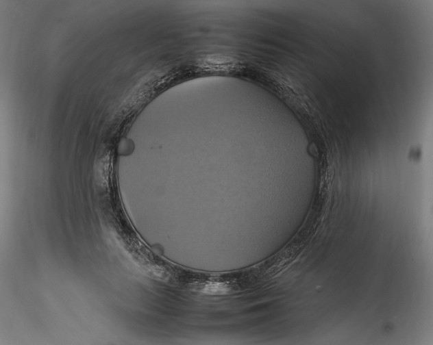 X0000115560647200911271458