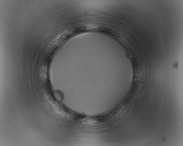 X0000115560648200911271458