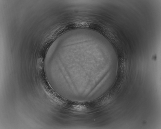 X0000115560649200911271458