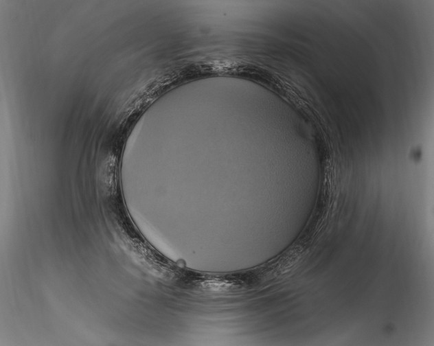 X0000115560650200911271458