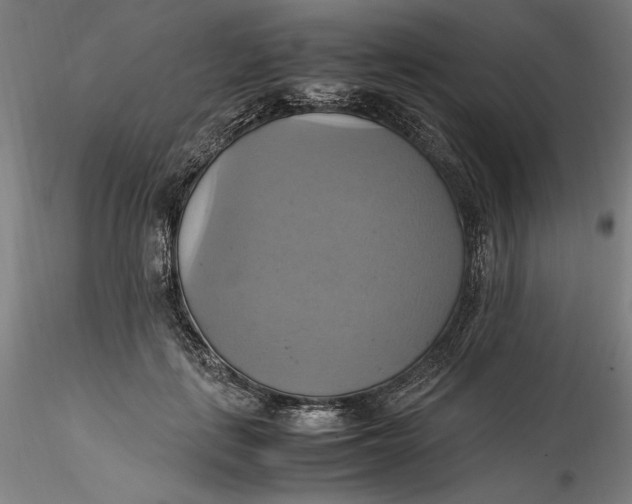 X0000115560651200911271458