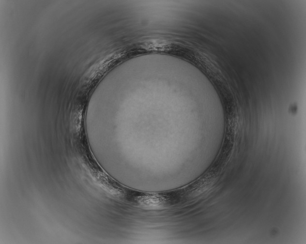 X0000115560652200911271458