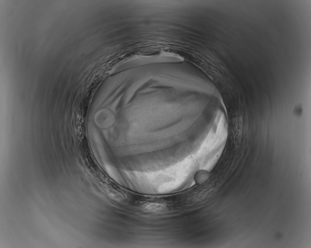 X0000115560653200911271458