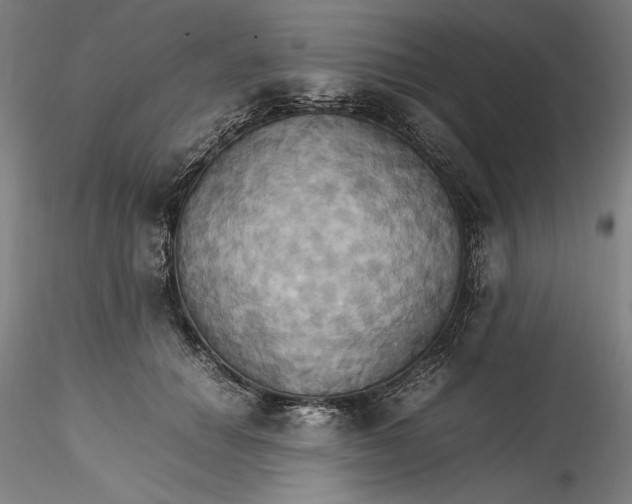 X0000115560654200911271458