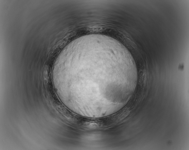 X0000115560655200911271458