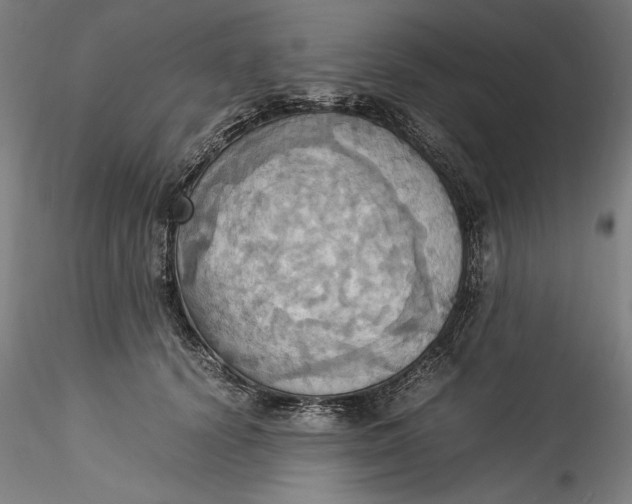 X0000115560656200911271458