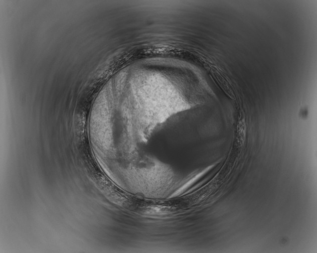 X0000115560657200911271458