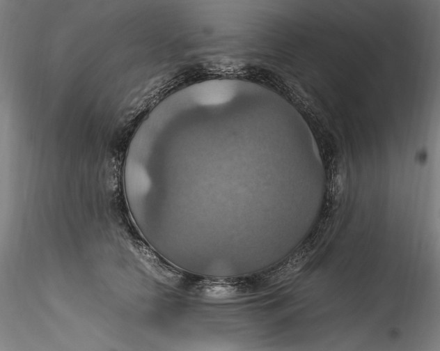 X0000115560658200911271458