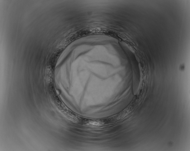 X0000115560659200911271458