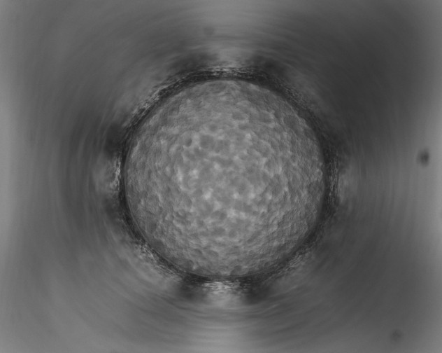 X0000115560660200911271458