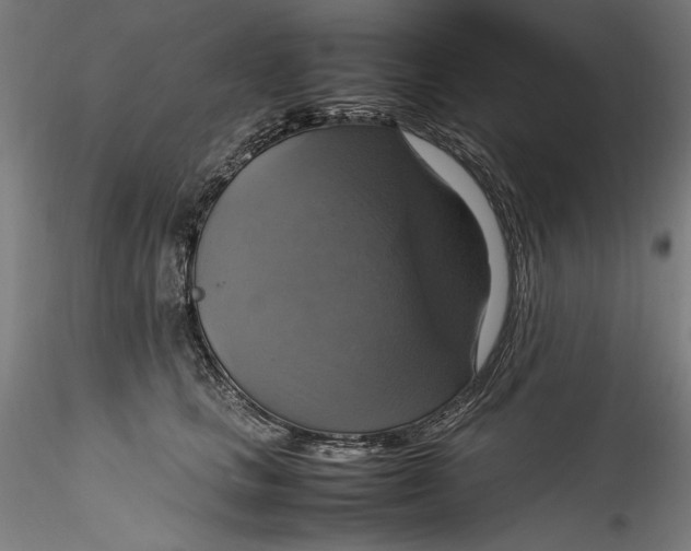 X0000115560661200911271458