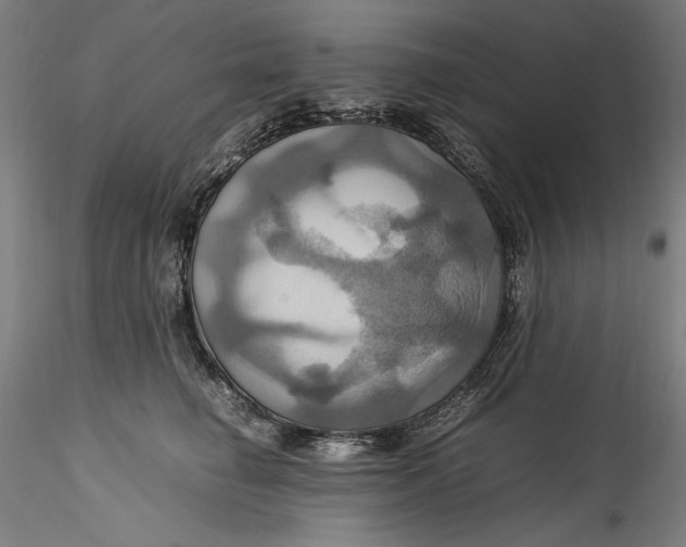 X0000115560662200911271458