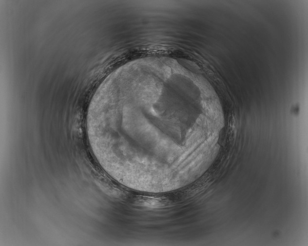 X0000115560663200911271458