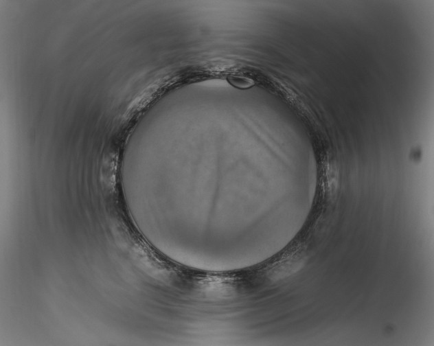 X0000115560664200911271458