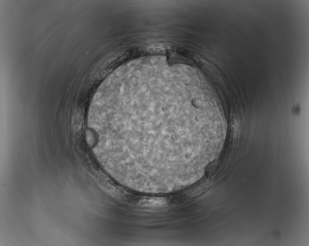 X0000115560665200911271458