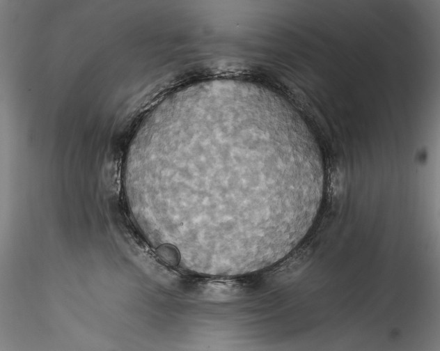 X0000115560666200911271458