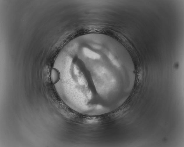 X0000115560667200911271458