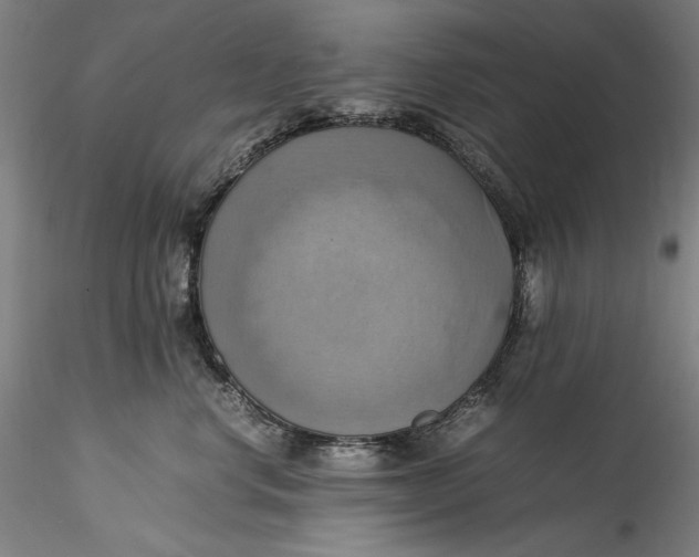 X0000115560668200911271458