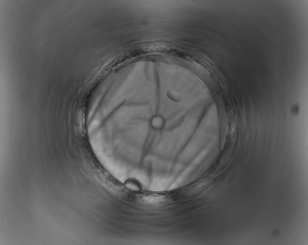 X0000115560669200911271458