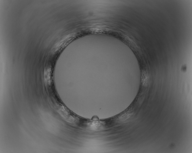 X0000115560670200911271458