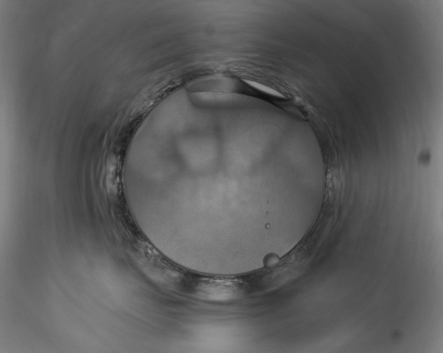 X0000115560671200911271458