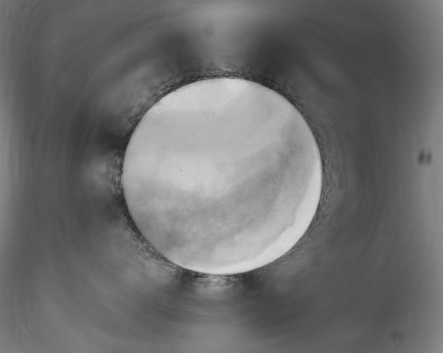 X0000115560672200911271458