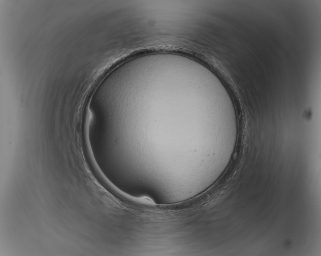 X0000115560673200911271457