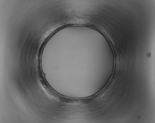 X0000115560674200911271457