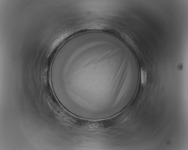 X0000115560675200911271457