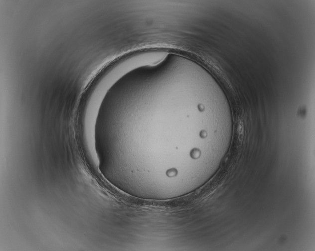 X0000115560676200911271457