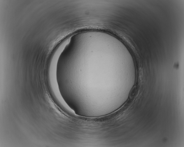 X0000115560677200911271457