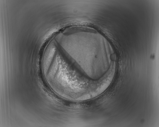 X0000115560679200911271457