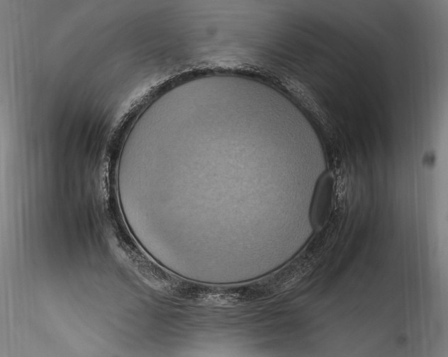 X0000115560680200911271457