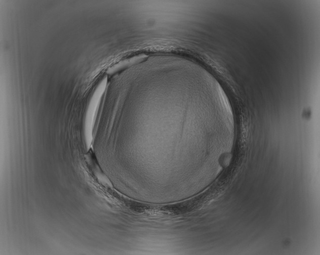 X0000115560681200911271457