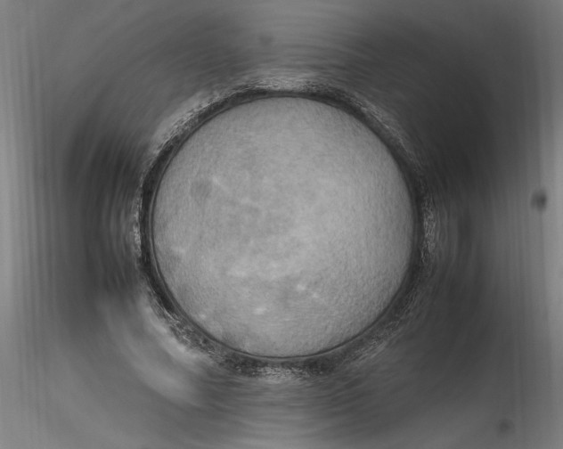 X0000115560682200911271457