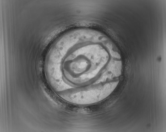 X0000115560683200911271457