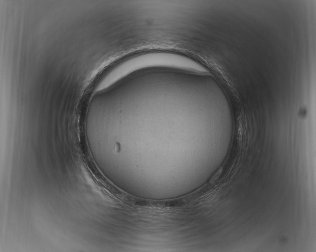 X0000115560684200911271457