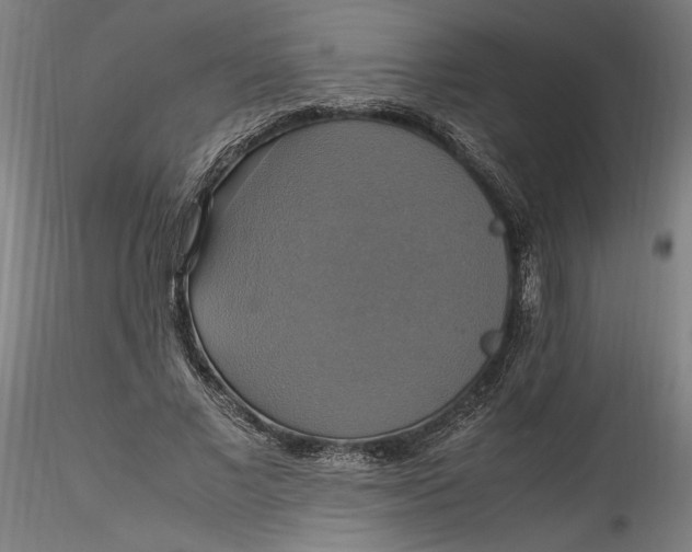 X0000115560685200911271457