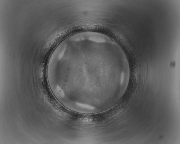 X0000115560687200911271457