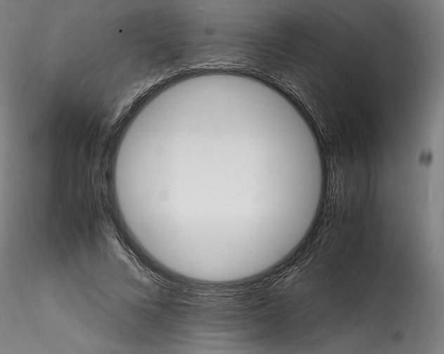 X0000115560688200911271457