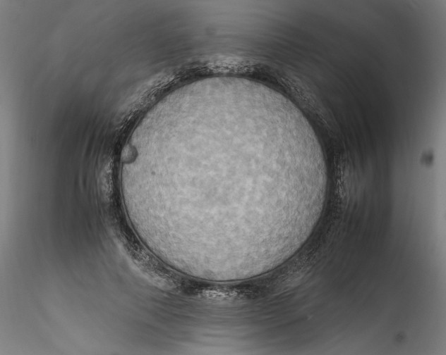 X0000115560690200911271457